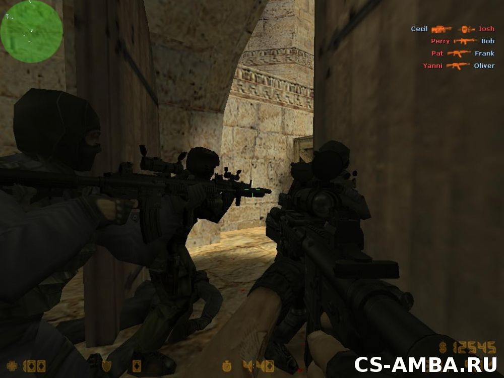 HK416 On Sick's Anims