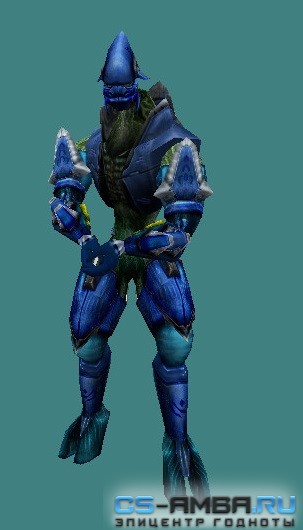 Models Player CSNZ